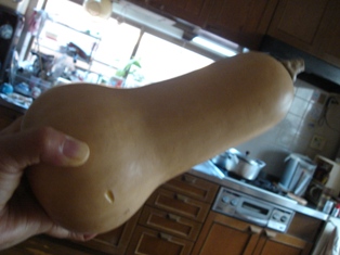 e0143298_1440056.jpg