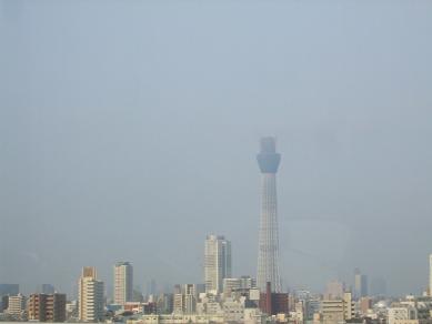 f0179203_1519349.jpg