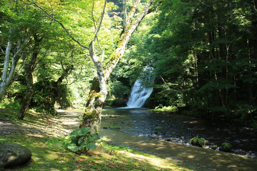 a0152405_21122933.jpg