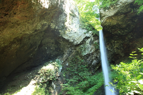 a0152405_21312256.jpg
