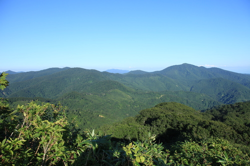 a0152405_21424552.jpg
