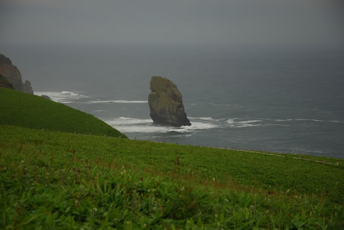 b0021211_10333934.jpg