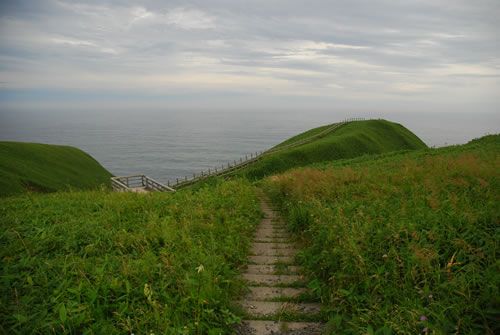 b0021211_10334781.jpg