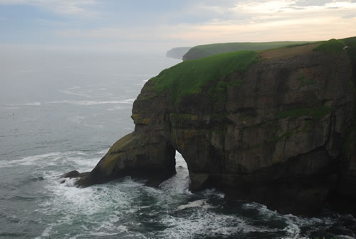 b0021211_10335578.jpg