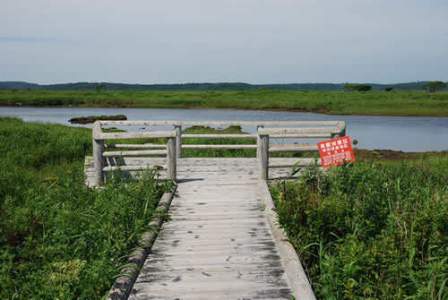 b0021211_11312870.jpg