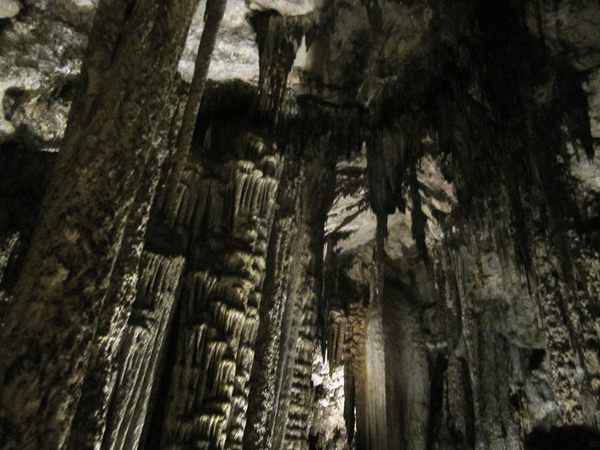 b0064411_5502775.jpg
