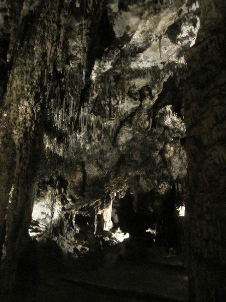 b0064411_5534178.jpg