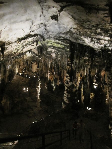 b0064411_68917.jpg