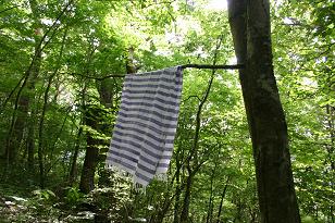 Khadi cotton 100% (カディ)_f0190816_23515293.jpg