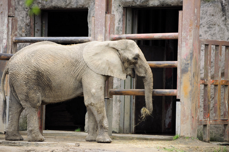 東武動物公園シリーズ。_e0135024_9192526.jpg