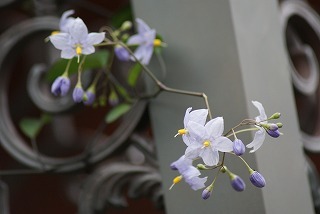 f0170524_18313258.jpg