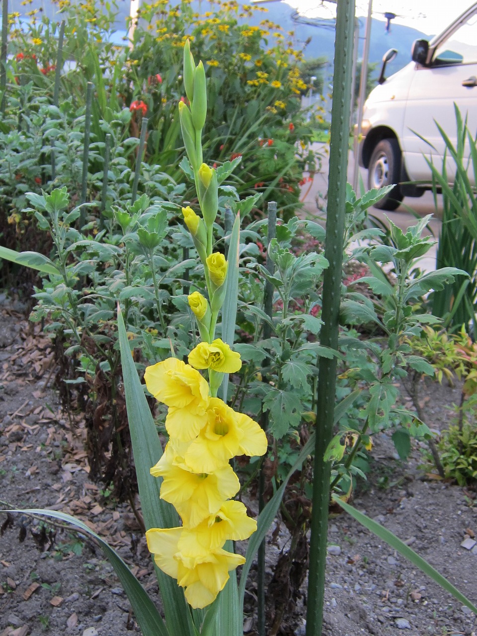 b0176130_21473750.jpg