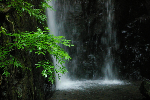 f0145933_1392732.jpg