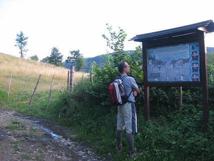 野イチゴあふれる山の小道_f0234936_22283532.jpg