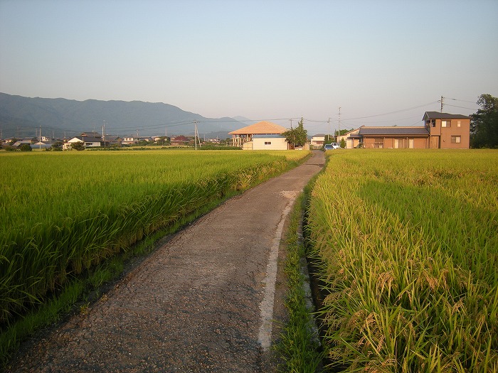 さすらいのトラック野郎　　行きはよいよい　帰りは怖い～の逆です。_b0168041_16532941.jpg