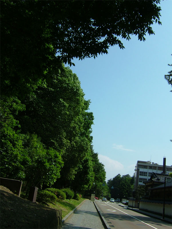 熱中症を吹っ飛ばせ！_c0110051_1734523.jpg