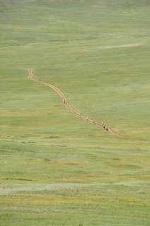 c0047856_23551365.jpg