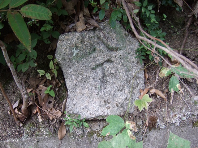 b0095061_1117045.jpg