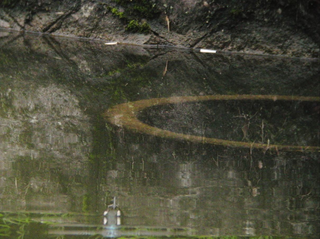 a0053771_19162564.jpg