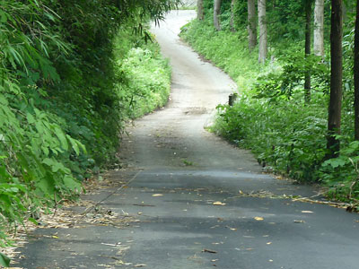 c0152779_13422191.jpg