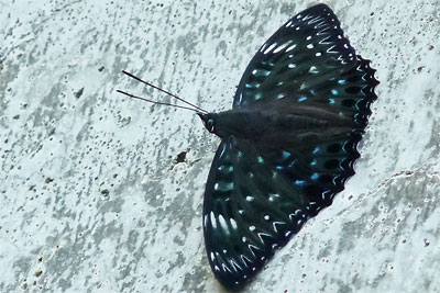 c0152779_1358463.jpg