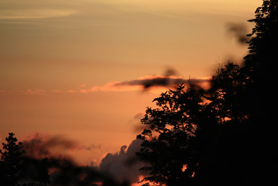 c0152779_1494017.jpg
