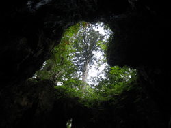 c0220592_13291371.gif