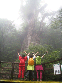 c0220592_13302739.gif