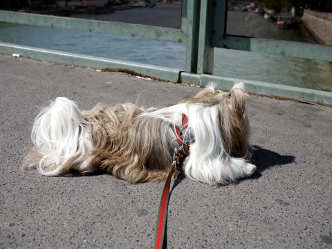 c0090198_5243765.jpg