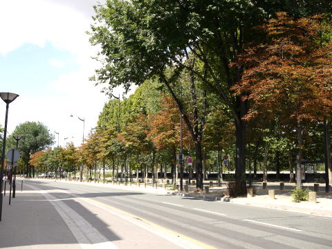 c0090198_5264170.jpg