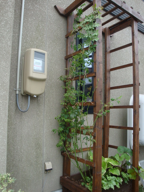 e0175905_12594846.jpg