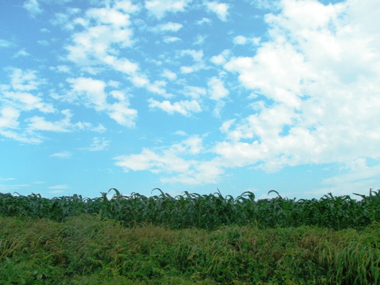 b0138306_99417.jpg
