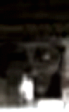 e0103408_22344635.gif
