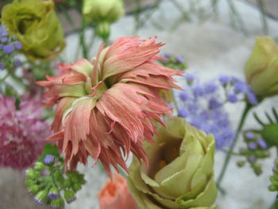 c0178009_17373919.jpg
