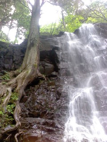 夏_d0106911_030548.jpg