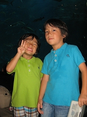 e0123412_1364820.jpg