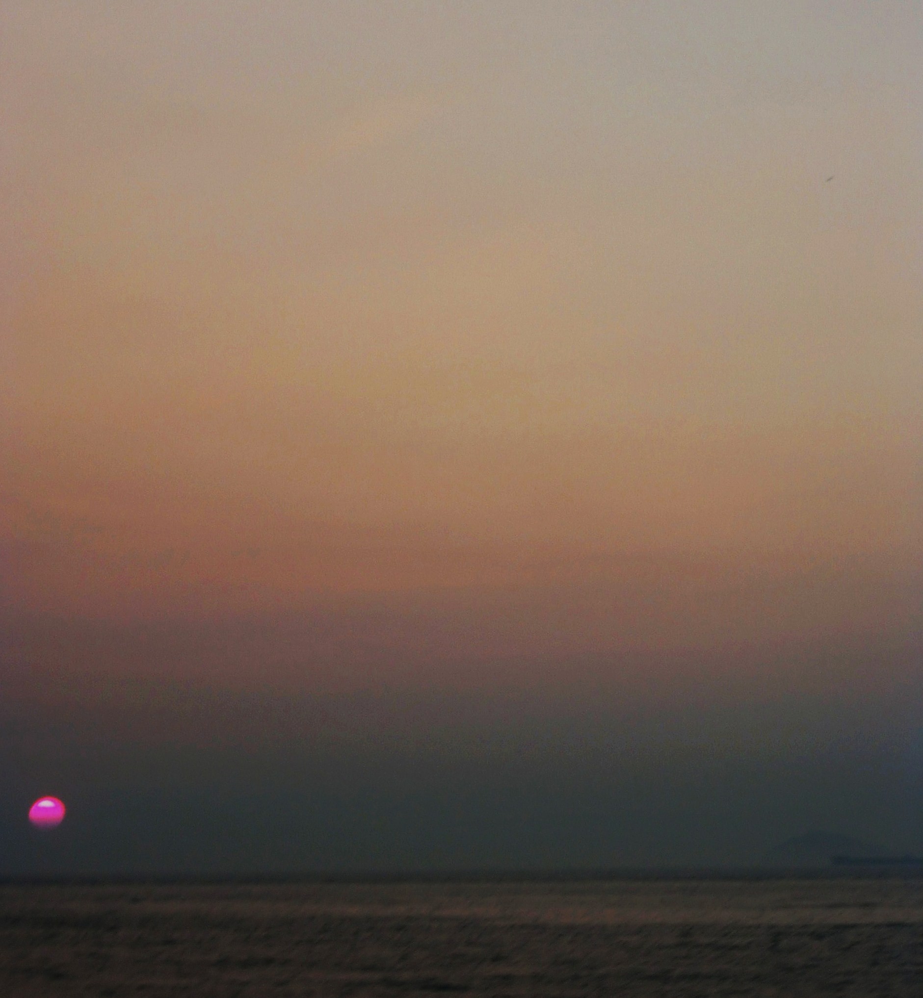 今治にて。_f0150413_21184343.jpg