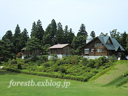 e0100618_1664067.jpg