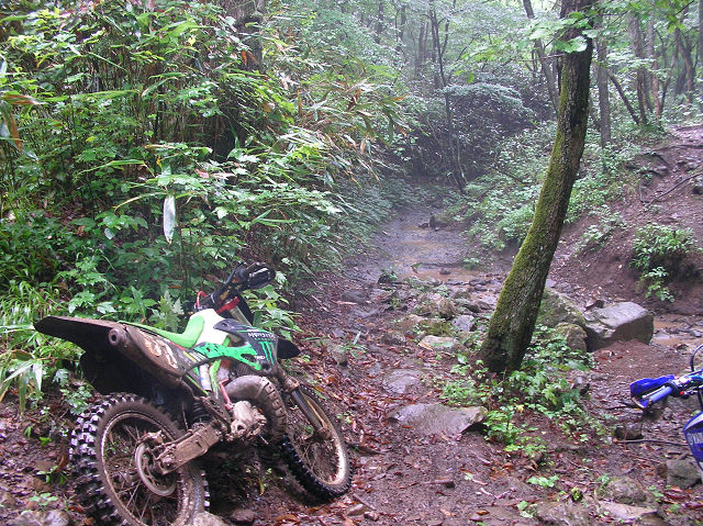 c0223419_12162896.jpg