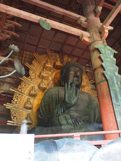 あうっシカない (追記あり)_c0160822_1038811.jpg