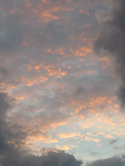b0035734_20574718.jpg