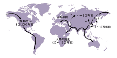 民族の皮膚の色のルーツはアフリカか_a0044453_16514398.gif