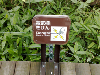 e0080165_0224521.jpg