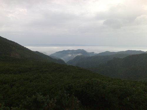 e0080165_22583861.jpg