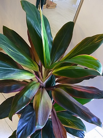 f0224266_1431350.jpg