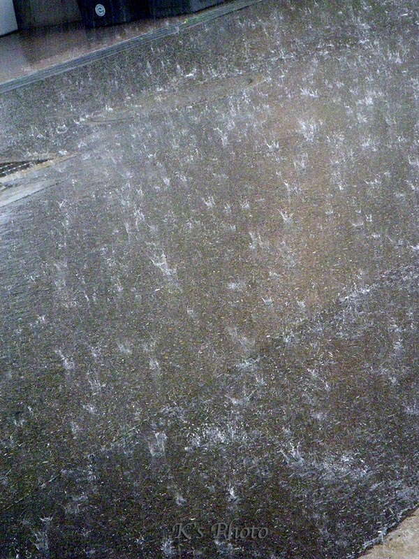 d0054076_7415531.jpg