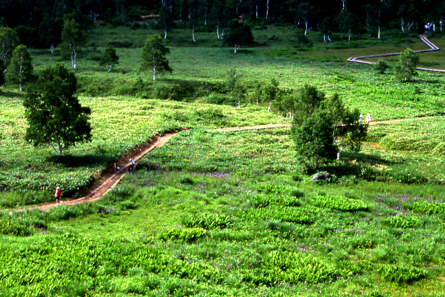 e0165983_1413139.jpg