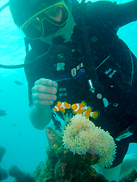 ラチャヤイ島で体験ダイビング _f0144385_20161644.jpg