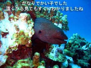 あれ?波がいつもと違う@ラチャヤイ島_f0144385_20471942.jpg