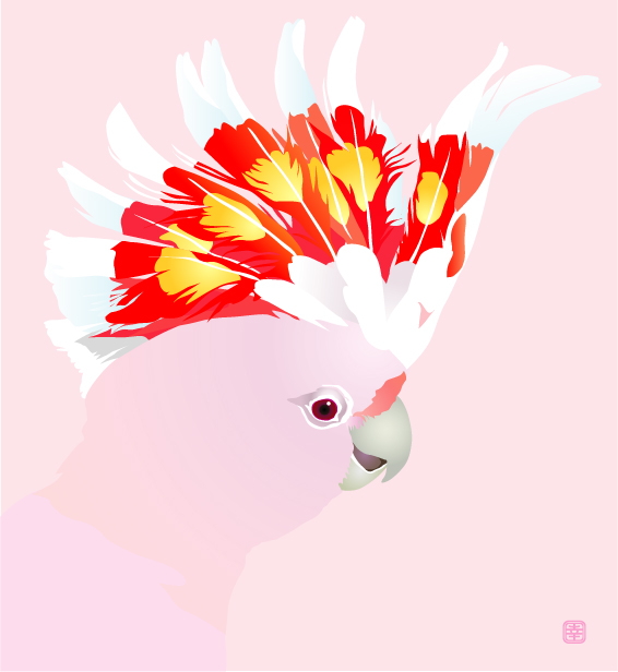 Pink Cockatoo Piro Piro とりアート